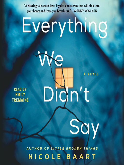 Title details for Everything We Didn't Say by Nicole Baart - Available